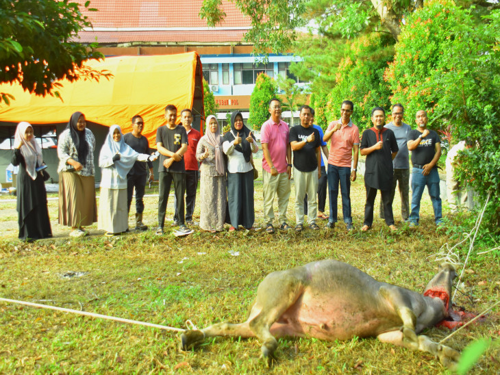 Rayakan Idul Adha 1446 H, Kepala BPKSDM Kab  Kampar Sembelih 1 Ekor Kerbau