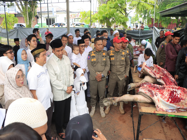 Bupati dan Wakil Bupati Kampar Saksikan Penyembelihan Hewan Qurban di Islamic Center Bangkinang Kota Bupati dan Wakil Bupati Kampar Saksikan Penyembelihan Hewan Qurban di Islamic Center Bangkinang Kota