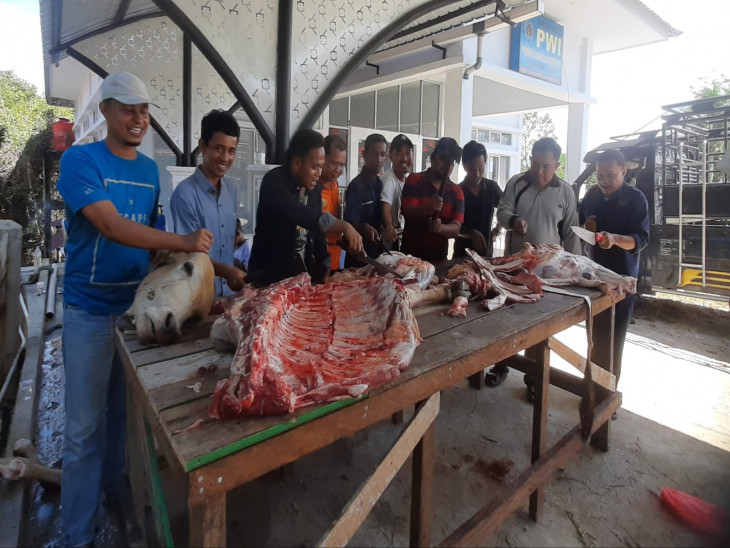 Berkah Idul Adha, PWI Kampar Sembelih Hewan Qurban