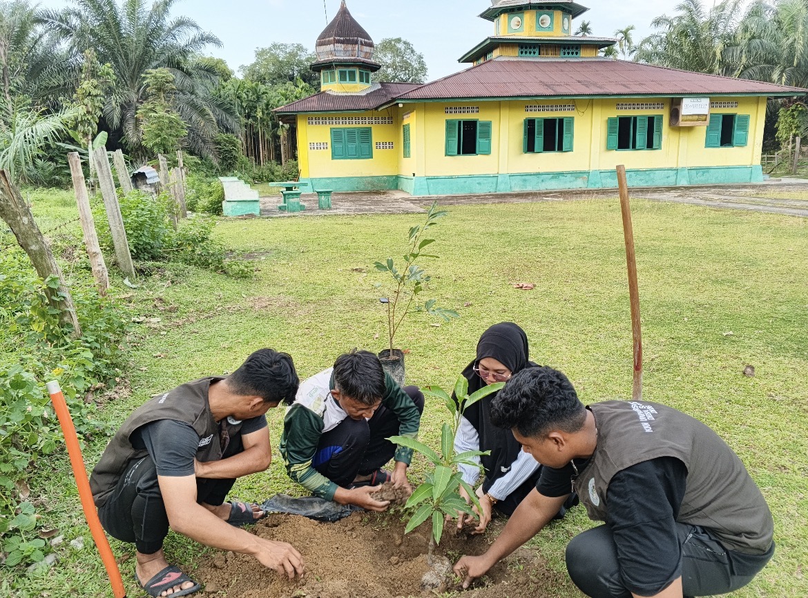 Masjid Tua di Pulau Tonga Tetap Hidup dalam Doa, Penyuluh Agama KUA Salo dan Mahasiswa KKN UNRI Hijaukan Pekarangannya