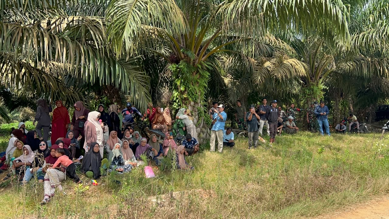 “Imbo Gano”, Nyanyian dari Ladang yang Tak Pernah Padam: Mengawali Perjuangan Warga Senama Nenek